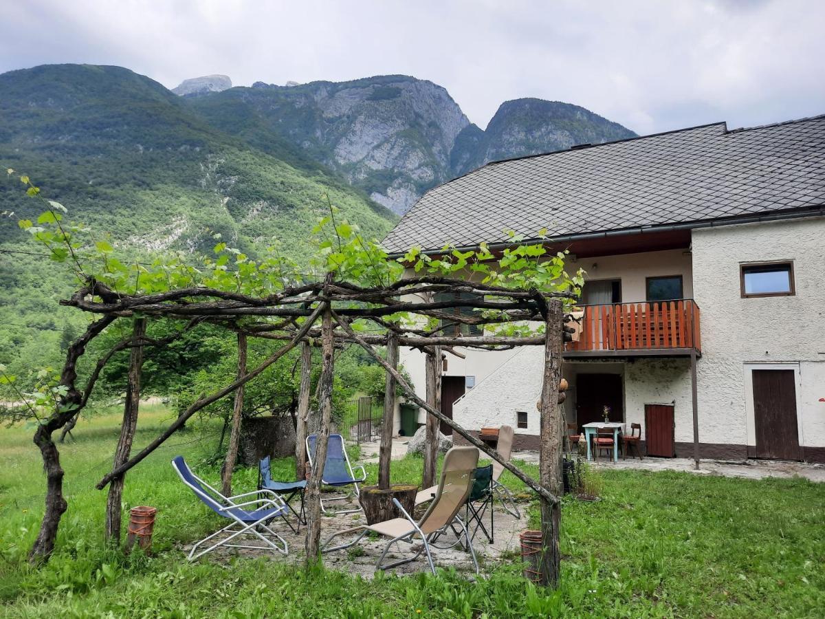 Stara Hisa Lägenhet Log Cezsoski Exteriör bild