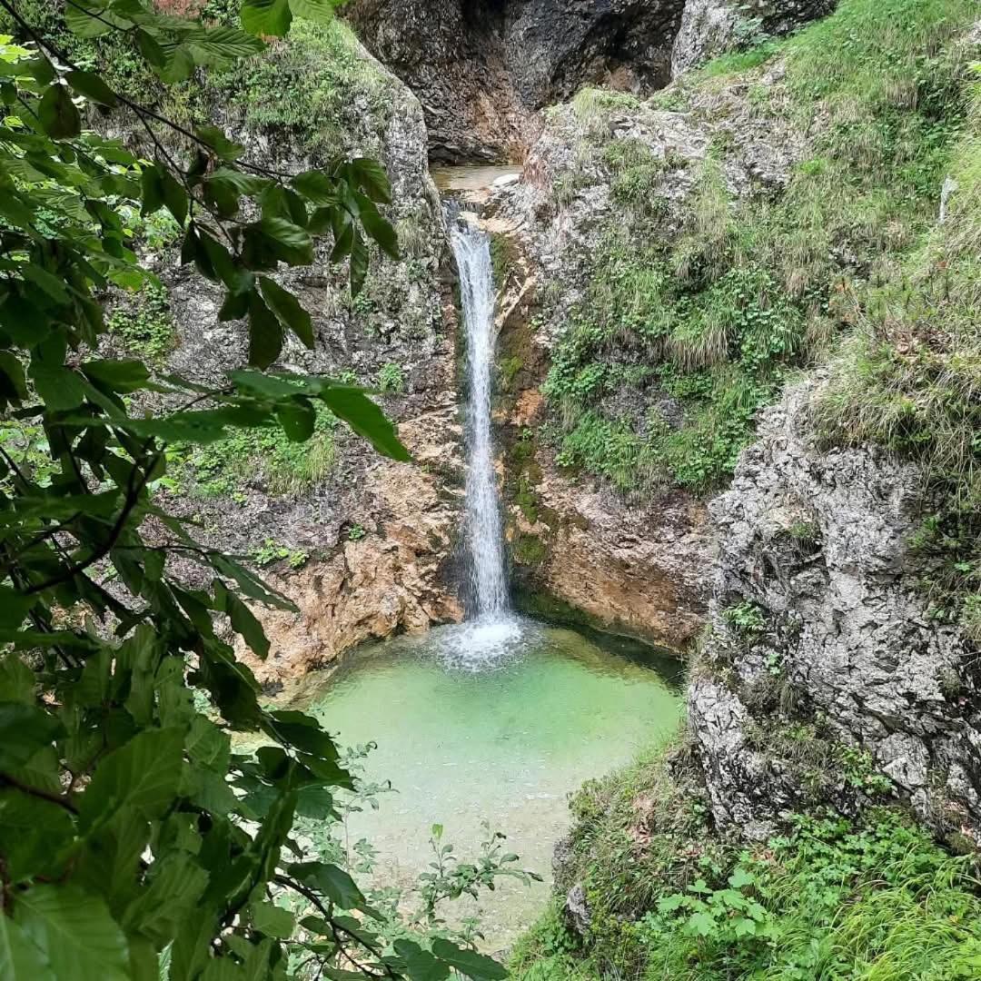 Stara Hisa Lägenhet Log Cezsoski Exteriör bild